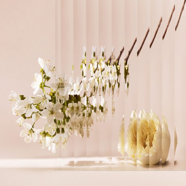 CHLOÉ CHLOÉ FLEUR DE PARFUM EAU DE PARFUM