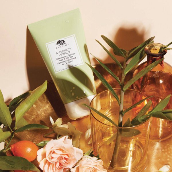 ORIGINS A PERFECT WORLD WHITE TEA ANTIOXIDANT CLEANSER