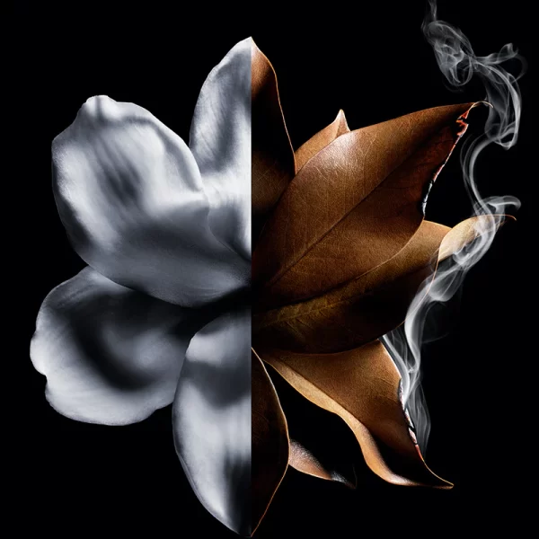 L'Interdit Absolu Givenchy - Image 3