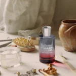 Ode To Dullness Juliette Has A Gun - Image 4