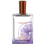 MOLINARD CITRUS NOIR EAU DE PARFUM