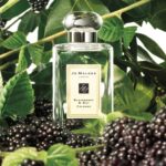 Blackberry & Bay Jo Malone London - Image 2