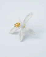 NEROLI ORANGER Body Wash - Image 2