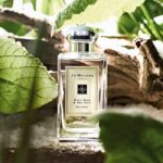 Wood Sage & Sea Salt Jo Malone London - Image 3