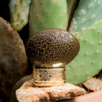 THE HOUSE OF OUD BLESSING SILENCE - Image 2