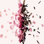 GIVENCHY Irresistible Eau De Parfum - Image 3