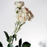 BURBERRY MY BURBERRY BLUSH PERFUME - Image 3