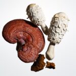 Origins Mega-Mushroom Skin Relief Micellar Cleanser - Image 3