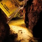 FRAPIN Terre de Sarment - Image 2