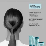 Kerastase R?sistance Bain Force Architecte Shampoo - Image 2