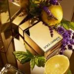 The One For Men Gold Eau de Parfum Intense - Image 2