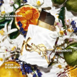 Libre LEau Nue - Image 2